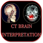 Logo of CT Brain Basic Interpretation android Application 